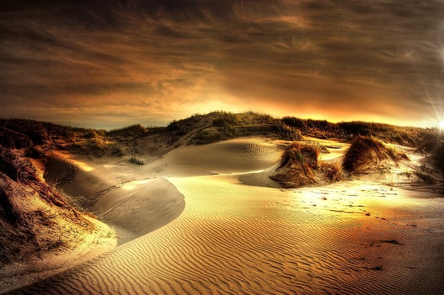 沙丘 户外 旅行 - 上的免费照片
