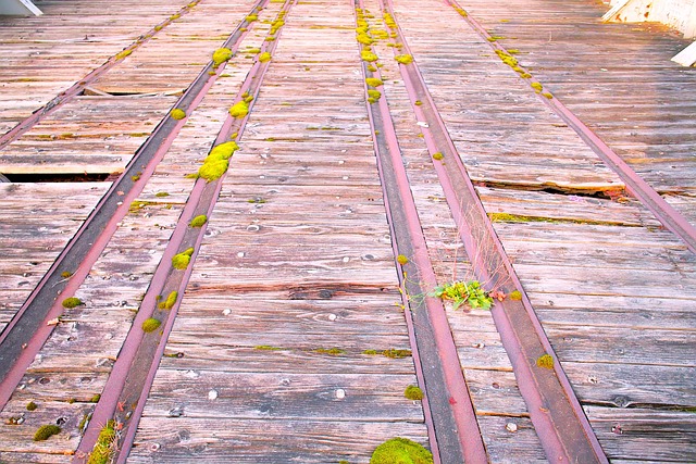 停产线 制船 - 上的免费照片