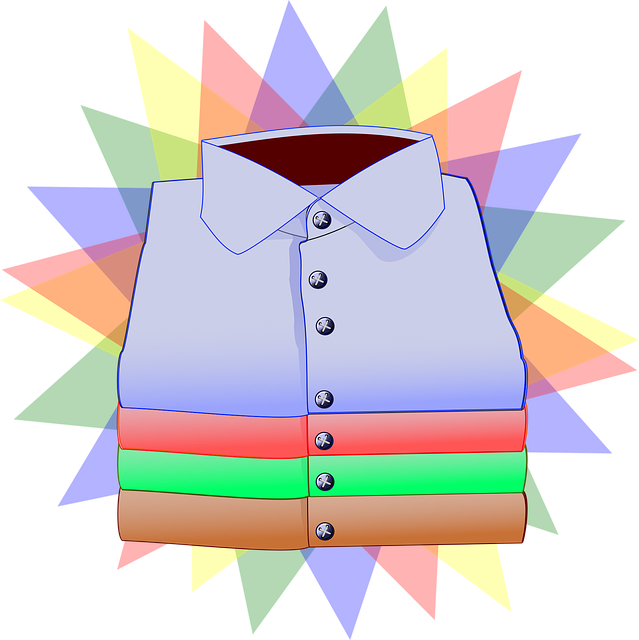 衣服 衬衫 男士衬衫 - 免费矢量图形