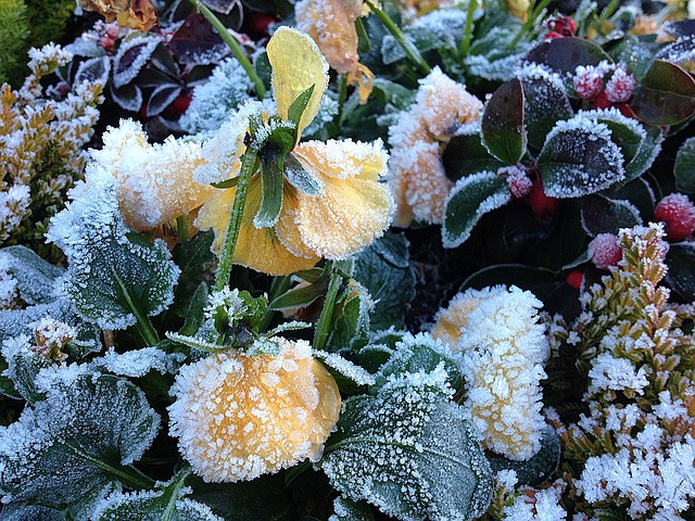 破冰船 Winterblueher 400 500 - 上的免费照片