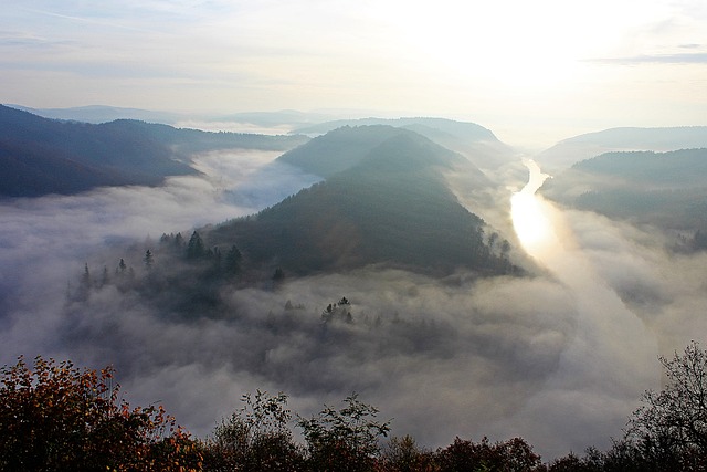 晨雾 河风景 萨尔循环 - 上的免费照片