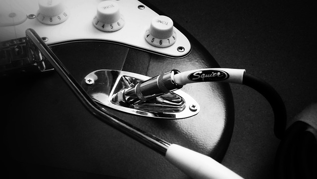 吉他 Squier 挡泥板 - 上的免费照片