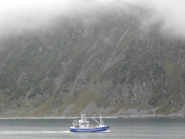 Korablik 多雾路段 早晨 - 上的免费照片