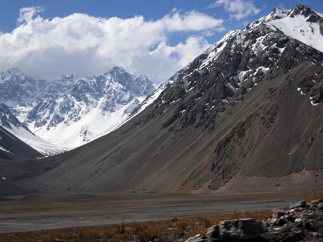 山 辣椒 - 上的免费照片