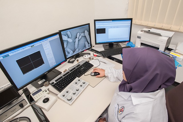 扫描电子显微镜 大学马来西亚沙巴州 - 上的免费照片