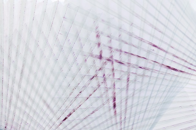 白色的 图案 - 上的免费照片