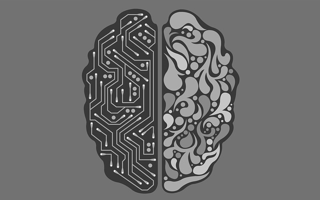 人工智能 Ai 机器人 - 上的免费图片