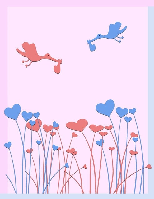 出生公告 双胞胎 地图 - 上的免费图片