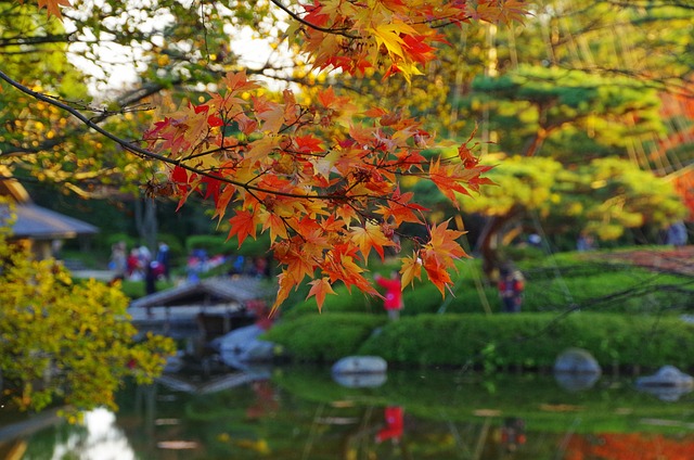 初秋 K 日本花园 - 上的免费照片
