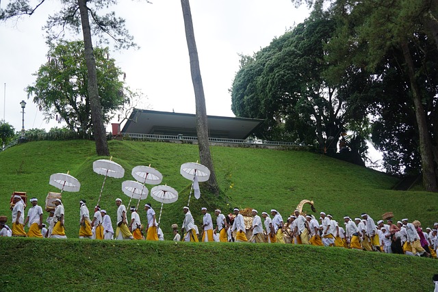 巴厘岛 传统的 仪式 - 上的免费照片