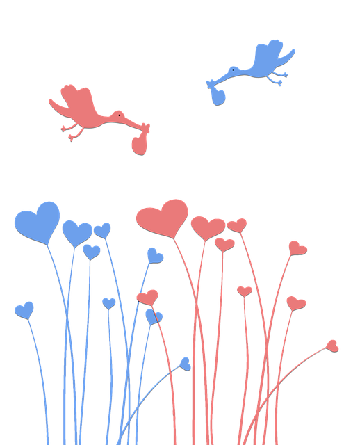 出生公告 出生 双胞胎 - 上的免费图片