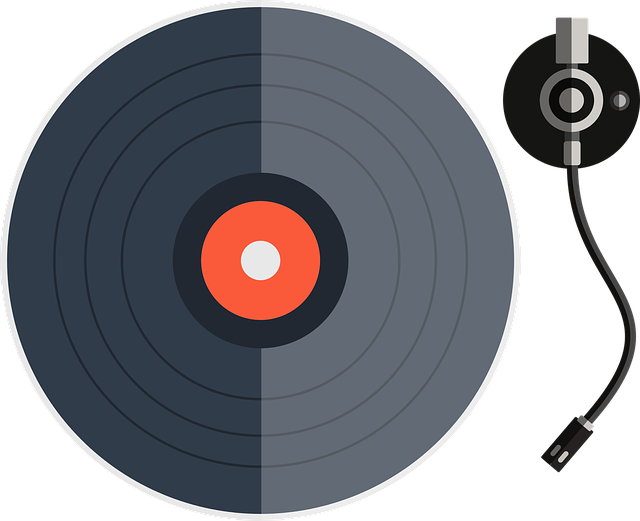 乙烯基塑料 铂 磁盘 - 免费矢量图形