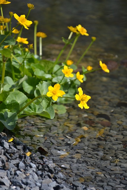 水 河道 景观 - 上的免费照片