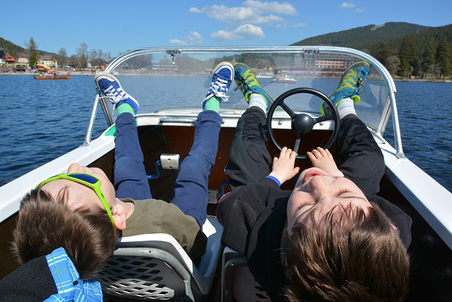 黑森林 狄 - 上的免费照片