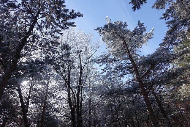 山 雪山 汉拉山 - 上的免费照片