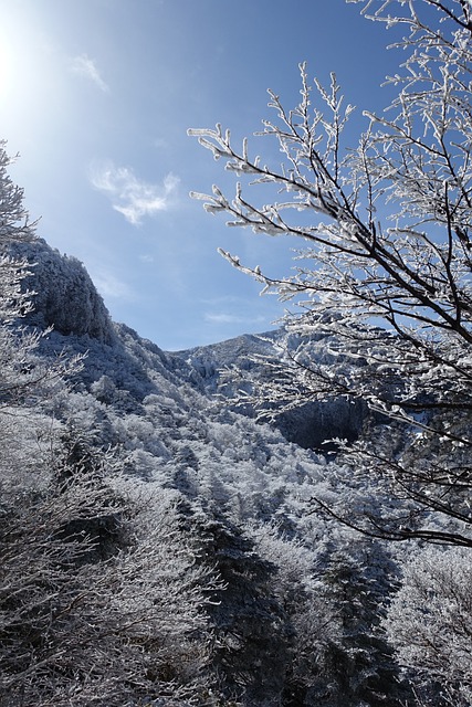 冬季 雪山 济州岛 - 上的免费照片