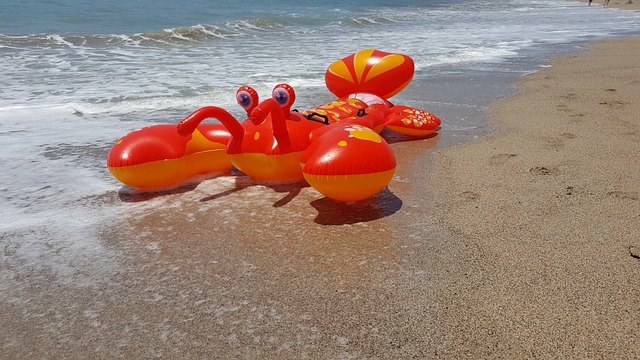 Puerta墨西哥的巴亚尔塔港 海滩乐趣 龙虾沙滩玩具 - 上的免费照片