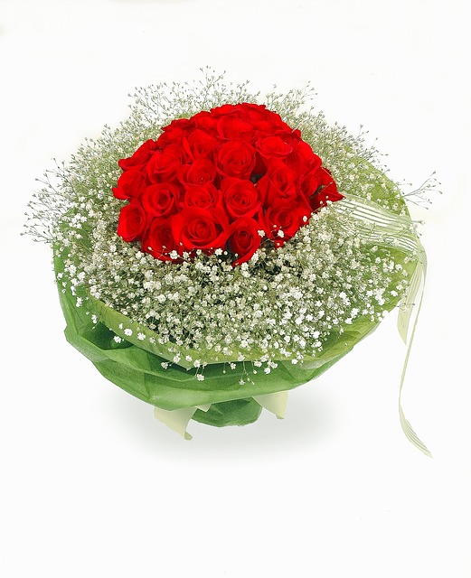 教师节 毕业 花 - 上的免费照片