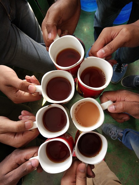 朋友 伙伴 茶 - 上的免费照片