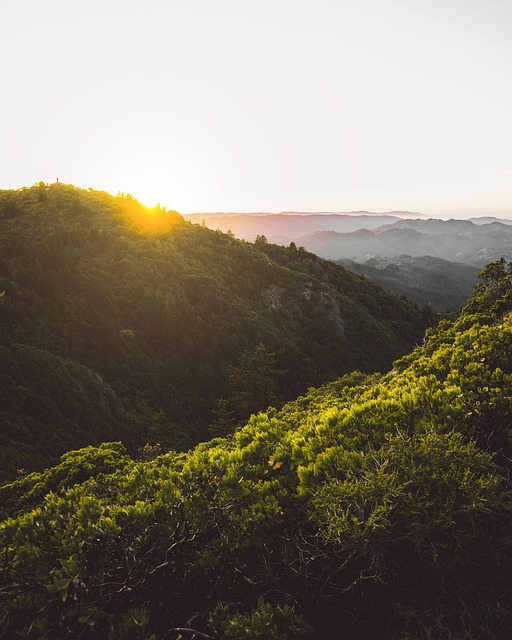山 Tamalpais 景观 - 上的免费照片