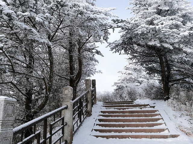 Snow Mountain Forest 雪山 - 上的免费照片