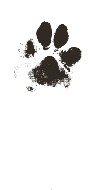 狗爪子 爪子印 爪印 - 免费矢量图形