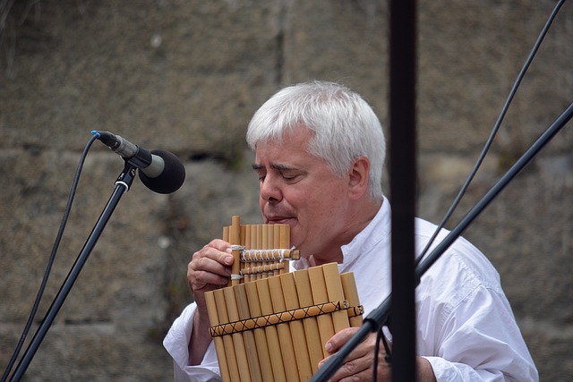 排箫 艺术家 音乐家 - 上的免费照片