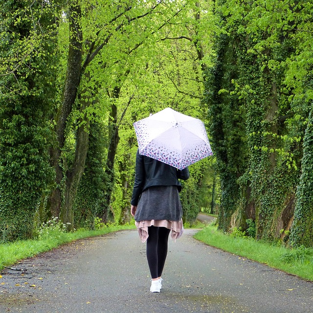 年轻女子 女孩 雨伞 - 上的免费照片