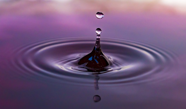 水滴 滴 水 - 上的免费照片
