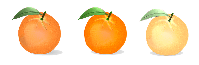 橙色的 向量 柑橘类水果 - 上的免费图片