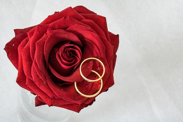 结婚戒指 玫瑰 戒指 - 上的免费照片