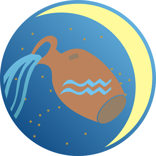 宝瓶座 星座 十二生肖 - 免费矢量图形