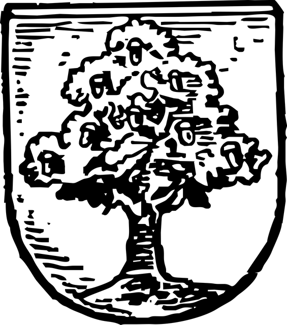 纹章 瓦乌布日赫 波兰 - 免费矢量图形