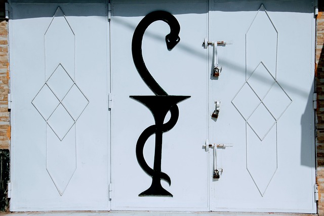 药店 特点 门 - 上的免费照片