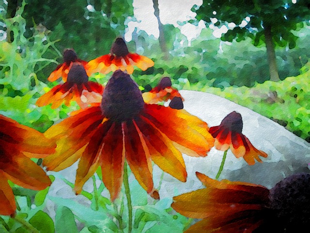矢 花朵 水彩 - 上的免费照片