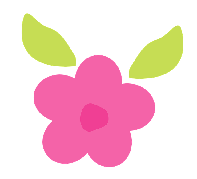 花 可爱的 粉色的 - 上的免费图片