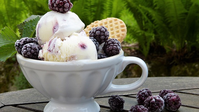 冰淇淋 黑莓 牛奶 - 上的免费照片