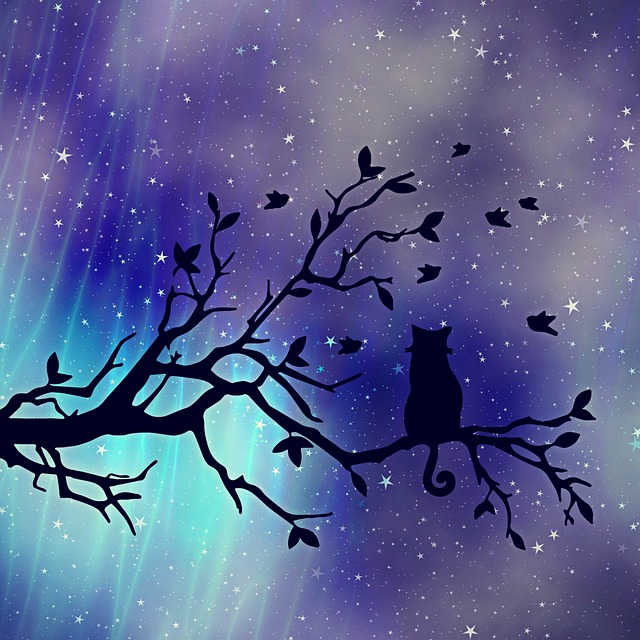 质地 背景 猫 - 上的免费照片