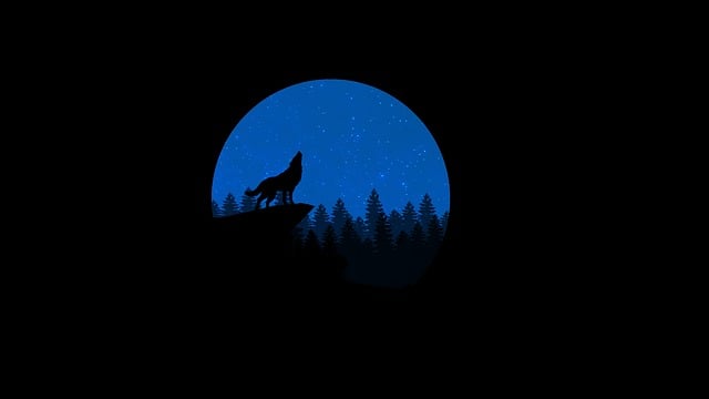 狼 嚎叫 夜晚 - 上的免费图片