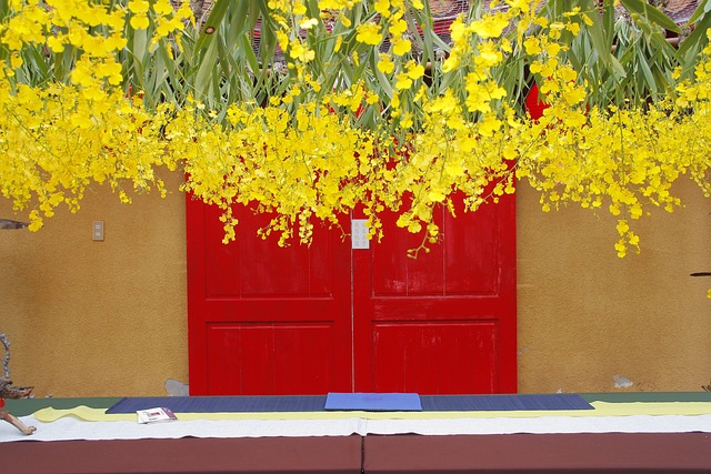 文心蘭 跳舞蘭 鮮黃色 - 上的免费照片
