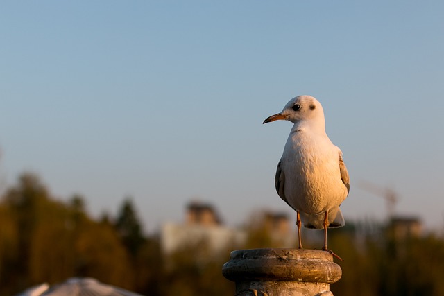 Aaron Barry - 上的免费照片