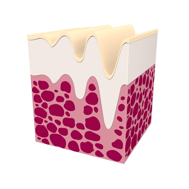 Fulminan 美丽的皮肤 美丽的 - 上的免费图片