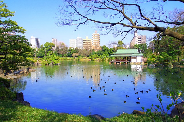清澄庭園 湖 日本 - 上的免费照片