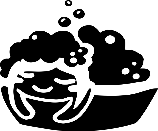十二生肖 宝瓶座 符号 - 免费矢量图形