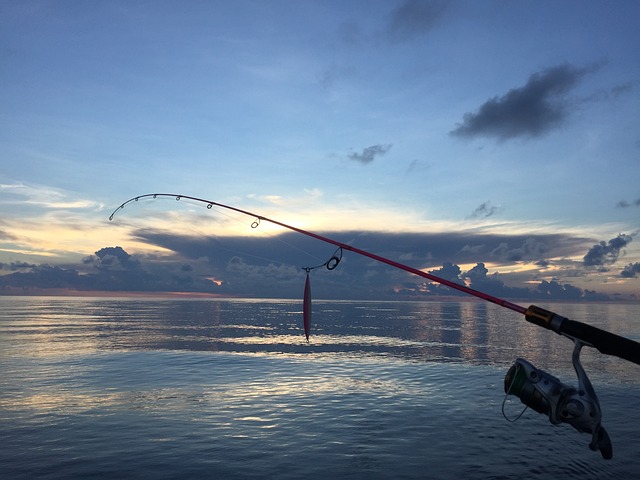 海 海钓 鱼 - 上的免费照片