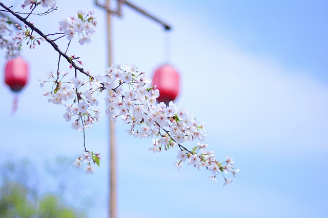 乌镇 西塘 春天 - 上的免费照片