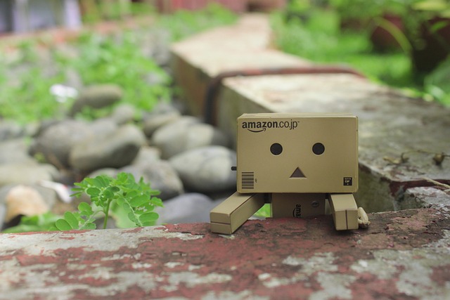看着 俏皮的 Danbo - 上的免费照片