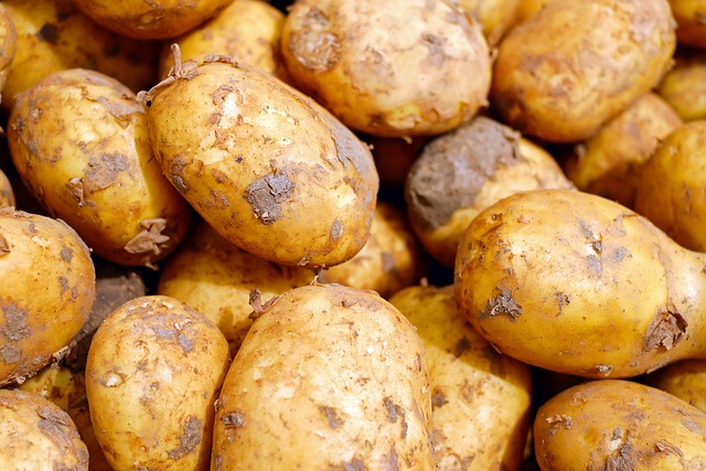 土豆 蔬菜 食物 - 上的免费照片