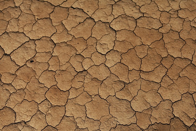 沙 沙漠 干燥 - 上的免费照片