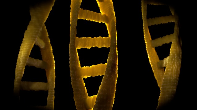 Dna 域名解析 生物学 - 上的免费图片